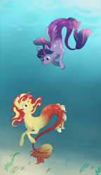 Size: 554x960 | Tagged: safe, artist:airborneice, sunset shimmer, twilight sparkle, twilight sparkle (alicorn), alicorn, merpony, seapony (g4), duo, female, looking at each other, seaponified, seapony sunset, seapony twilight, smiling, species swap, underwater