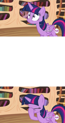 Size: 500x947 | Tagged: safe, derpibooru import, twilight sparkle, twilight sparkle (alicorn), alicorn, pony, testing testing 1-2-3, exploitable, exploitable meme, female, mare, meme, obligatory pony, reaction image