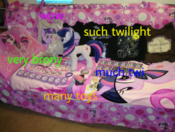 Size: 1264x952 | Tagged: safe, derpibooru import, twilight sparkle, doge, jin, meme, twilight collection