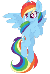 Size: 2048x3000 | Tagged: safe, artist:cinnamontee, derpibooru import, rainbow dash, pegasus, pony, cute, dashabetes, female, mare, simple background, solo, spread wings, transparent background, wings