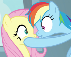 Size: 1071x857 | Tagged: safe, derpibooru import, screencap, fluttershy, rainbow dash, pegasus, pony, daring doubt, cropped, eye contact, female, hooves on cheeks, looking at each other, mare, nose to nose, shipping fuel, wide eyes