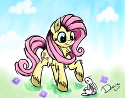 Size: 1024x804 | Tagged: safe, artist:superdashiebros, fluttershy, pegasus, pony, rabbit, female, mare, solo