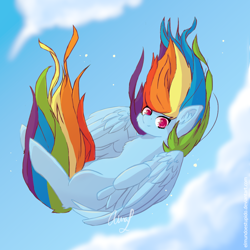 Size: 1000x1000 | Tagged: safe, artist:wintershibe, derpibooru import, rainbow dash, pegasus, pony, cheek fluff, chest fluff, cloud, colored pupils, cute, dashabetes, ear fluff, falling, female, freefall, leg fluff, looking at you, mare, sky, solo, windswept mane