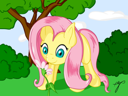 Size: 1600x1200 | Tagged: safe, artist:taxar, fluttershy, pegasus, pony, bush, colored, cute, flower, grass, shyabetes, sniffing, solo, tree