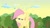 Size: 1920x1080 | Tagged: safe, screencap, fluttershy, pegasus, pony, female, mare, pink mane, yellow coat