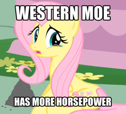 Size: 445x400 | Tagged: safe, edit, edited screencap, screencap, fluttershy, philomena, pegasus, pony, a bird in the hoof, ash, caption, crying, horse puns, horsepower, image macro, moe, pun, text