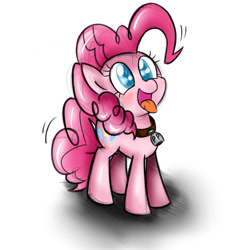 Size: 2000x2000 | Tagged: safe, artist:celine-artnsfw, pinkie pie, earth pony, pony, behaving like a dog, bell, bell collar, blue eyes, collar, cute, diapinkes, puppy pie, shaking, simple background, solo, tongue out