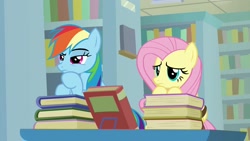 Size: 1920x1080 | Tagged: safe, derpibooru import, screencap, fluttershy, rainbow dash, pegasus, pony, daring doubt, book, bookshelf