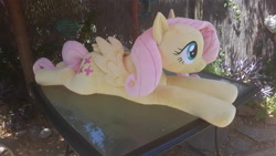 Size: 5312x2988 | Tagged: safe, artist:neysanight, fluttershy, pegasus, pony, irl, life size, photo, plushie, prone, solo