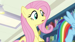 Size: 1920x1080 | Tagged: safe, derpibooru import, screencap, fluttershy, rainbow dash, pegasus, pony, daring doubt, book, bookshelf