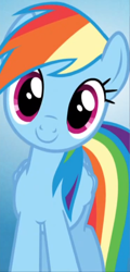 Size: 372x774 | Tagged: safe, derpibooru import, screencap, rainbow dash, pegasus, pony, castle sweet castle, cropped, female, solo