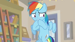 Size: 1920x1080 | Tagged: safe, derpibooru import, screencap, rainbow dash, pegasus, pony, daring doubt, bookshelf, ladder, solo