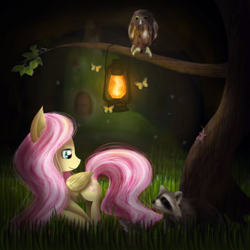 Size: 900x900 | Tagged: safe, artist:chanceyb, fluttershy, pegasus, pony, female, mare, night, solo