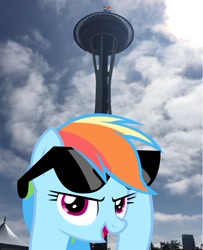 Size: 650x801 | Tagged: safe, derpibooru import, rainbow dash, pony, gay pride flag, irl, lgbt, photo, ponies in real life, pride, pride flag, seattle, space needle, sunglasses