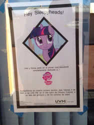 Size: 900x1200 | Tagged: source needed, safe, derpibooru import, twilight sparkle, irl, mexico, photo, poster, solo, spanish, universidad el valle de méxico, uvm