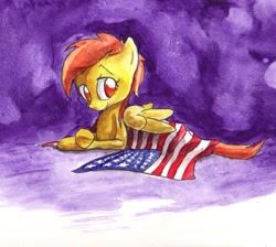 Size: 1201x1077 | Tagged: safe, artist:matugi, derpibooru import, spitfire, american flag, flag, solo, traditional art, united states, watercolor painting
