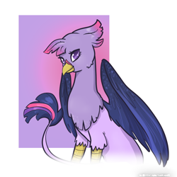 Size: 900x900 | Tagged: safe, artist:otterlore, derpibooru import, twilight sparkle, griffon, griffonized, my little griffon, simple background, solo, species swap, white background