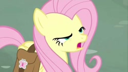 Size: 1280x720 | Tagged: safe, screencap, fluttershy, pegasus, pony, putting your hoof down, female, mare, pink mane, yellow coat