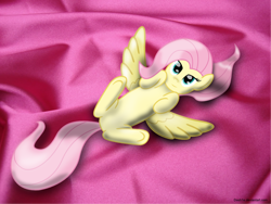 Size: 1024x768 | Tagged: safe, artist:dash1e, fluttershy, pegasus, pony, female, mare, pink mane, solo, yellow coat