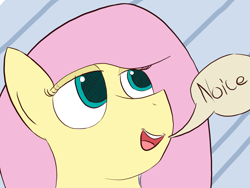 Size: 1331x1000 | Tagged: safe, artist:flutteriot, fluttershy, pegasus, pony, head only, hilarious in hindsight, lidded eyes, noice, open mouth, reaction image, solo, speech bubble