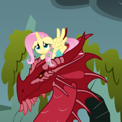 Size: 4800x4800 | Tagged: safe, artist:beavernator, edit, basil, fluttershy, alicorn, dragon, pony, absurd resolution, alicornified, chromatic dragon, dungeons and dragons, female, flower, flower in hair, fluttercorn, hoof shoes, mare, race swap, red dragon, sitting on head