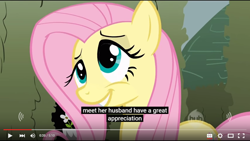 Size: 854x480 | Tagged: safe, screencap, fluttershy, pegasus, pony, meme, solo, youtube caption