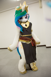 Size: 500x750 | Tagged: safe, artist:toki, photographer:snk, princess celestia, clothes, cosplay, costume, cute, cutelestia, fursuit, irl, japan, photo, solo