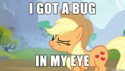 Size: 610x343 | Tagged: safe, applejack, earth pony, insect, pony, image macro, meme, wink