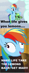 Size: 357x893 | Tagged: safe, derpibooru import, rainbow dash, tank, pegasus, pony, tanks for the memories, cave johnson, i'll fly, meme, portal (valve), portal 2