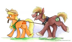 Size: 800x473 | Tagged: safe, artist:spainfischer, applejack, big macintosh, earth pony, pony, big macindog, collar, cute, discorded, leash, male, mouth hold, neckerchief, stallion, traditional art, unshorn fetlocks, walking