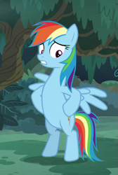 Size: 517x770 | Tagged: safe, derpibooru import, screencap, rainbow dash, pony, better together, equestria girls, spring breakdown, bipedal, cropped, equestria girls ponified, hooves on hips, ponified, spread wings, wings