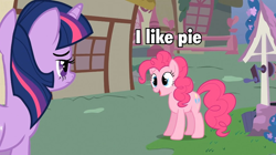 Size: 960x539 | Tagged: safe, derpibooru import, pinkie pie, twilight sparkle, earth pony, pony, captain obvious, image macro, meme, pie