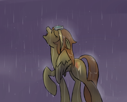 Size: 1280x1024 | Tagged: safe, artist:publiclibraryx, derpibooru import, spitfire, rain, solo, wet mane