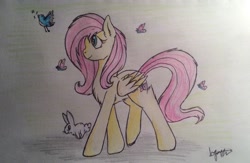 Size: 1280x834 | Tagged: safe, artist:wintaura, angel bunny, fluttershy, bird, butterfly, pegasus, pony, rabbit, animal, colored pencil drawing, kindness, request, sketch, solo, traditional art