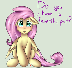 Size: 1600x1500 | Tagged: safe, artist:scarletcurl, fluttershy, pegasus, pony, blushing, cute, floppy ears, question, solo