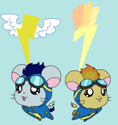 Size: 628x666 | Tagged: safe, artist:pixiebellecosplay, derpibooru import, soarin', spitfire, hamster, cute, hamtaro, species swap