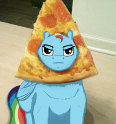 Size: 905x965 | Tagged: safe, artist:umgaris, derpibooru import, rainbow dash, pegasus, pony, breading, female, folded wings, food, looking at you, mare, meat, pepperoni, pepperoni pizza, pizza, sitting, solo, unamused, wat, wings