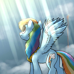 Size: 1000x1000 | Tagged: safe, artist:not-ordinary-pony, derpibooru exclusive, derpibooru import, rainbow dash, pegasus, pony, crepuscular rays, element of loyalty, female, mare, solo