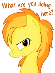 Size: 572x764 | Tagged: safe, artist:ajmstudios, derpibooru import, spitfire, cute, meme