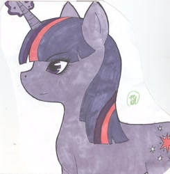 Size: 2525x2574 | Tagged: safe, artist:wafflekitten1020, derpibooru import, twilight sparkle, solo, traditional art