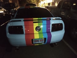 Size: 1440x1080 | Tagged: safe, derpibooru import, rainbow dash, car, florida, ford, ford mustang, irl, itasha, license plate, photo