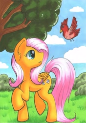 Size: 3273x4662 | Tagged: safe, artist:nana-yuka, fluttershy, bird, pegasus, pony, female, folded wings, head turn, looking at something, looking up, mare, nature, outdoors, raised hoof, raised leg, solo, traditional art, tree, wings