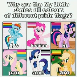 Size: 1080x1080 | Tagged: safe, derpibooru import, applejack, fluttershy, pinkie pie, rainbow dash, rarity, twilight sparkle, unicorn twilight, earth pony, pegasus, pony, unicorn, aromantic pride flag, asexual pride flag, bi twi, bilight sparkle, bisexual pride flag, female, gay pride flag, hat, headcanon, lesbian pride flag, lgbt, mare, pansexual pride flag, pride, pride flag, simple background, text, white background