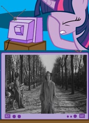 Size: 560x771 | Tagged: safe, derpibooru import, twilight sparkle, exploitable meme, meme, movies, obligatory pony, spoiler, the third man, tv meme