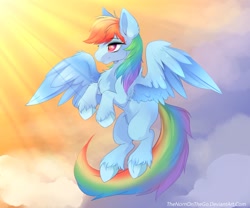 Size: 1280x1067 | Tagged: safe, artist:thenornonthego, derpibooru import, rainbow dash, pegasus, pony, digital art, female, mare, smiling, solo