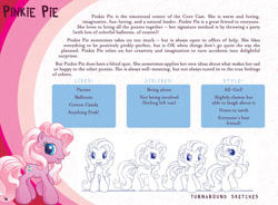 Size: 1240x912 | Tagged: safe, pinkie pie, earth pony, pony, g3.5, female, mare, pink coat, pink mane, reference sheet, text