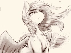 Size: 2048x1536 | Tagged: safe, artist:alcor, derpibooru import, rainbow dash, pegasus, pony, chest fluff, cute, dashabetes, female, flowing mane, mare, monochrome, simple background, sketch, solo, spread wings, white background, wings