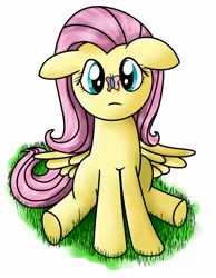 Size: 1612x2077 | Tagged: safe, artist:gyroc, fluttershy, butterfly, pegasus, pony, female, mare, solo