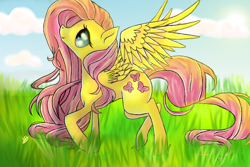 Size: 700x467 | Tagged: safe, artist:mb2tudios, fluttershy, pegasus, pony, female, grass, mare, solo