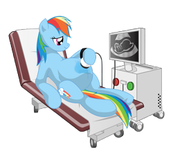 Size: 12000x10800 | Tagged: safe, artist:xniclord789x, derpibooru import, edit, rainbow dash, pegasus, pony, absurd resolution, belly, preggo dash, pregnant, simple background, solo, transparent background, ultrasound